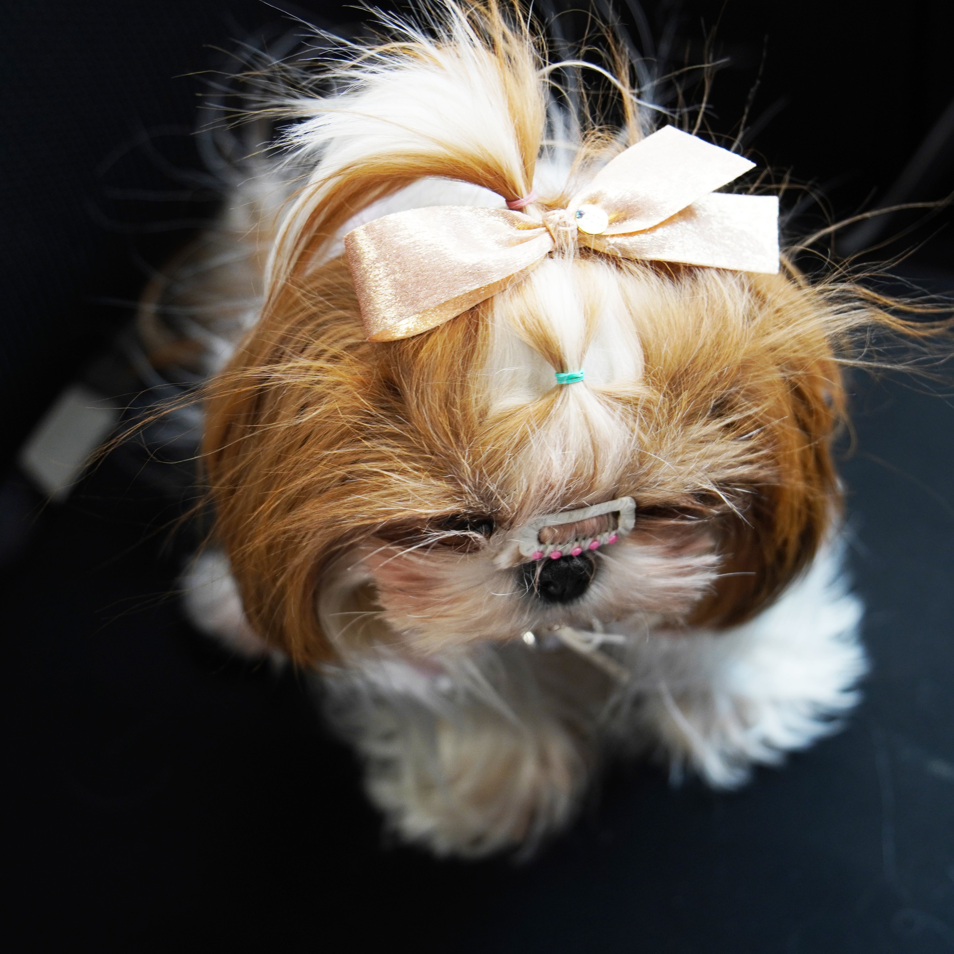 Lunapaw Gold & Silver Foil-Coated Ribbon Streamer Bow Fabric Top Clip TP2020