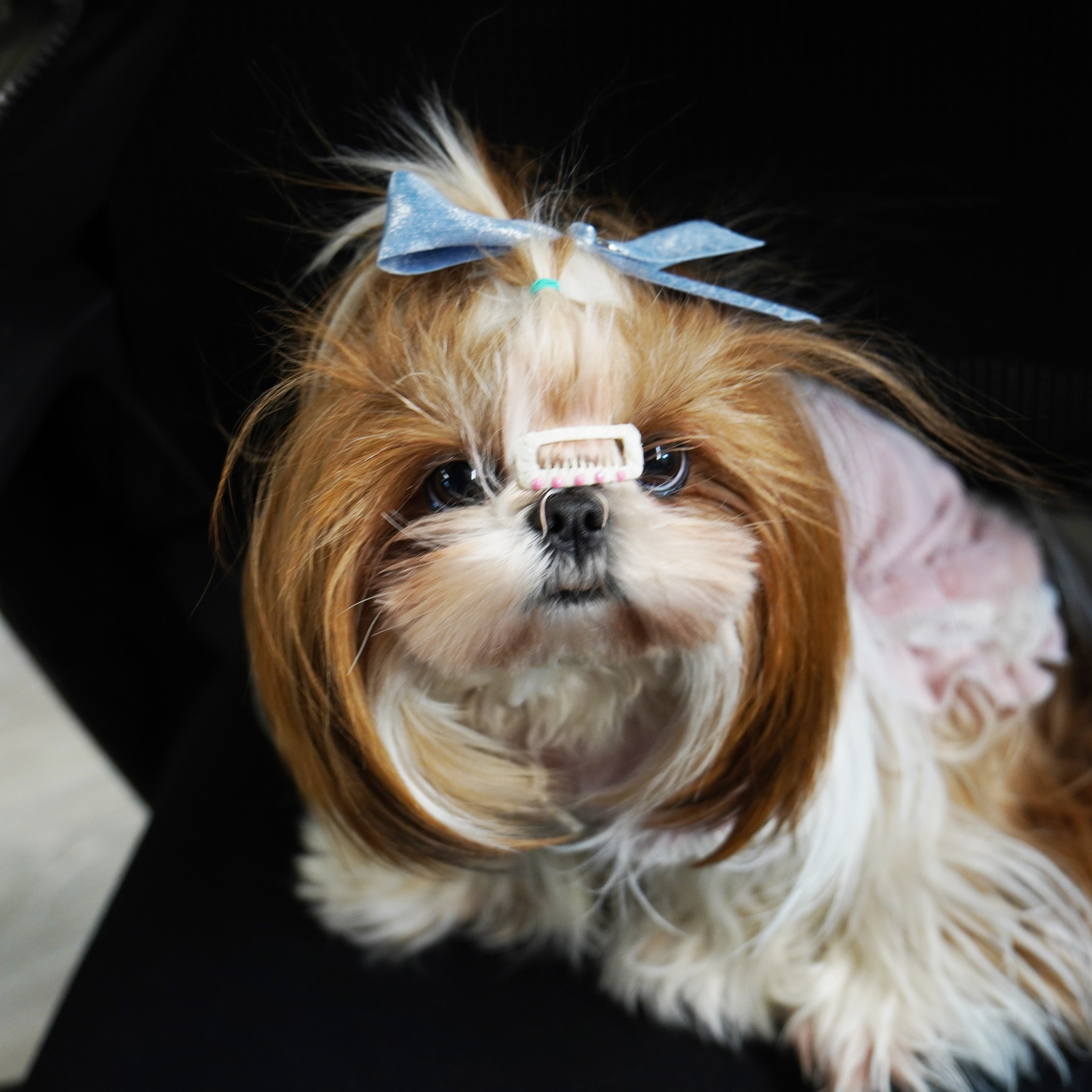 Lunapaw Gold & Silver Foil-Coated Ribbon Streamer Bow Fabric Top Clip TP2020