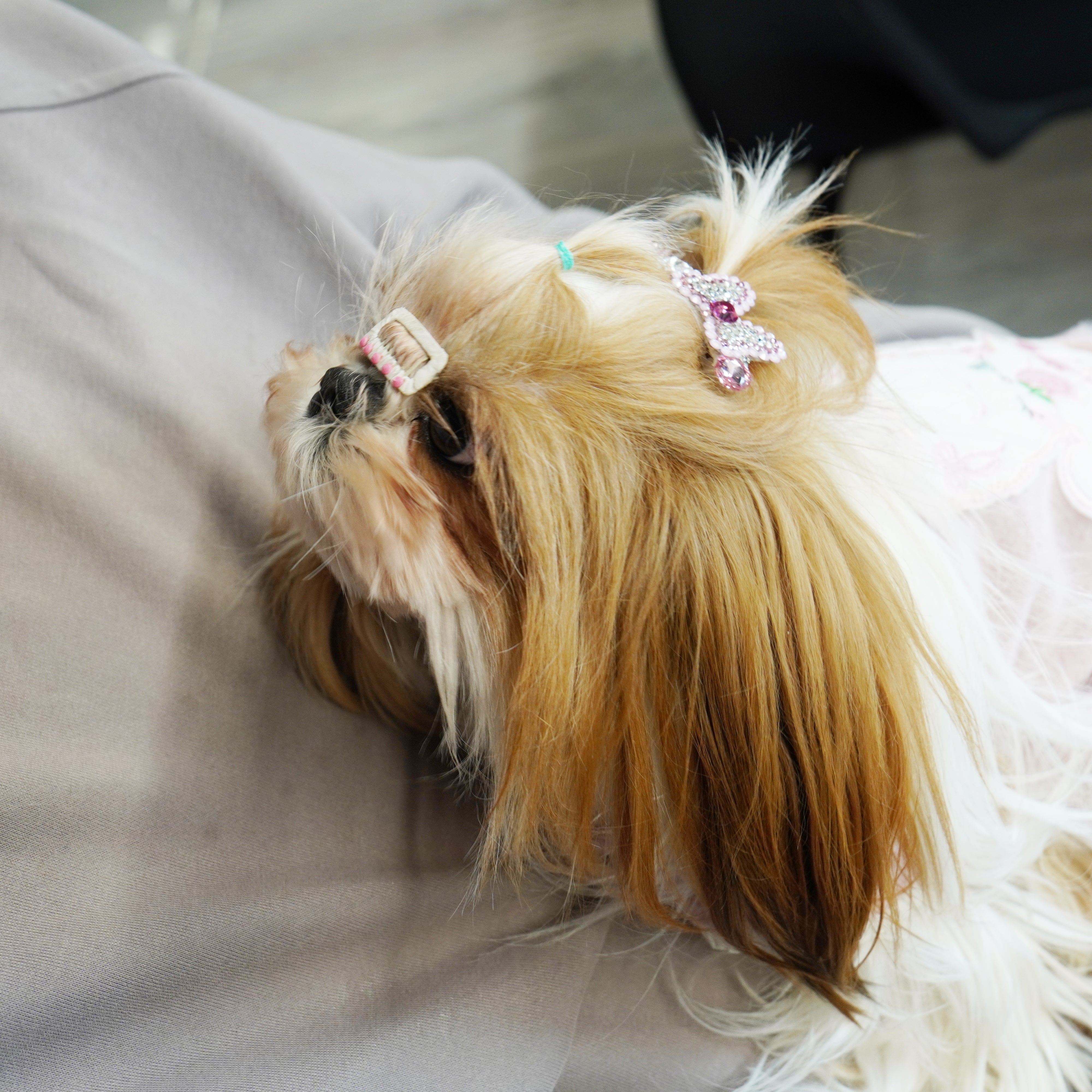 Lunapaw Structured Bow & Heart Luxury Crystal Headband HB35