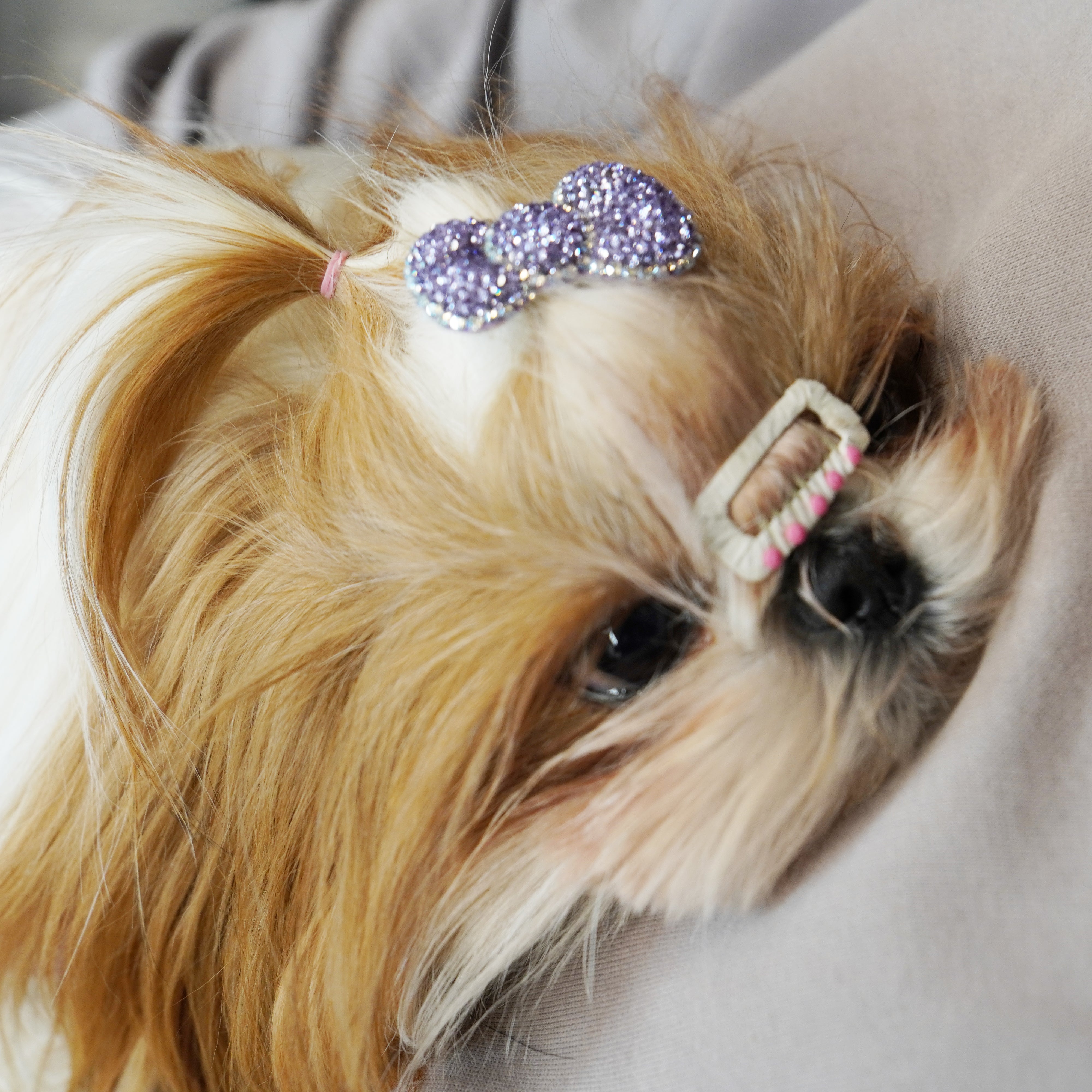 Lunapaw Structured 3D Bow Luxury Crystal Top Clip TP34